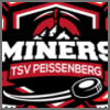 TSV Peißenberg "Miners"